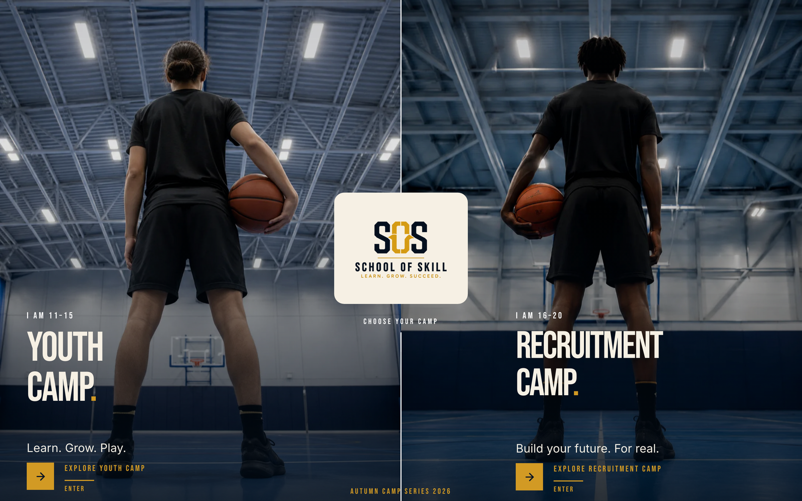 School of Skill website